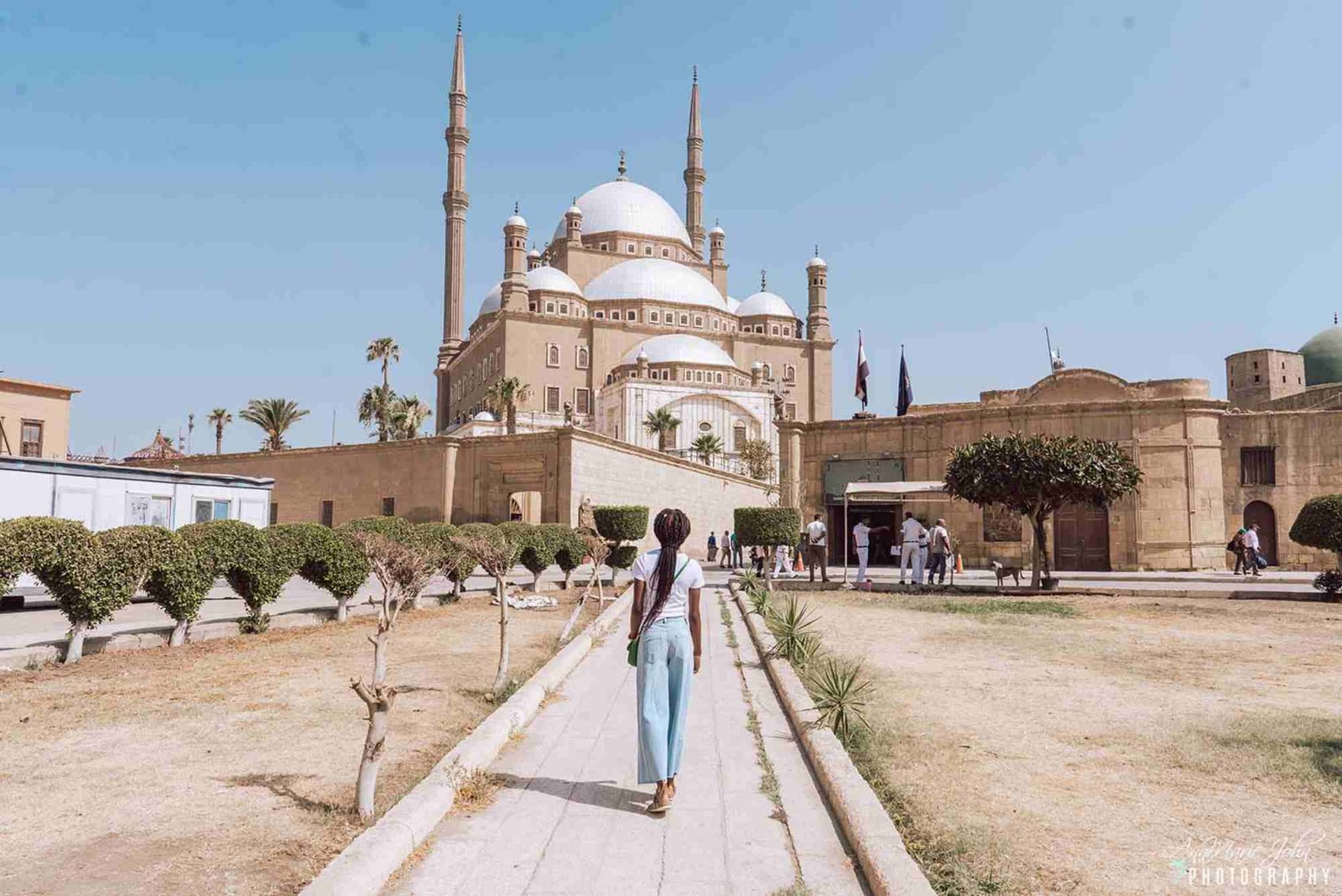 ناشيونال ايجيبت للسياحة