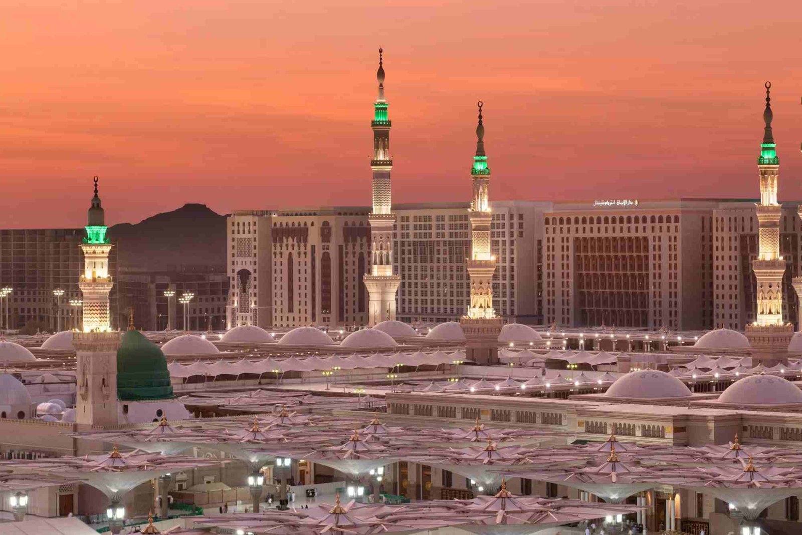 فندق انتركونتيننتال المدينة