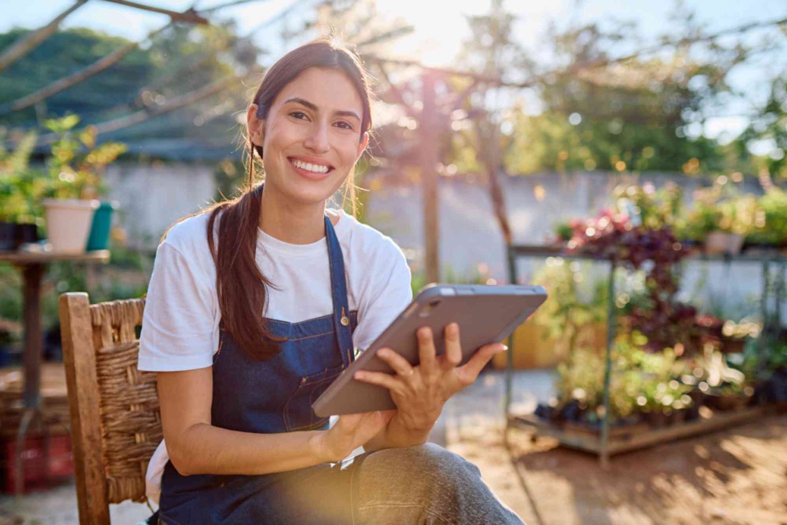 Affordable SEO Tools for Web Designers on a Practical Budget in 2026